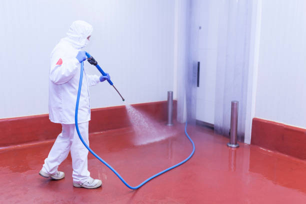 Professional Pressure Washing Services in East Ridge, TN